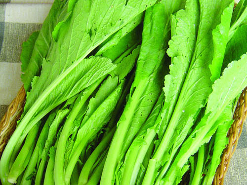 公司食堂卫生管理制度要求